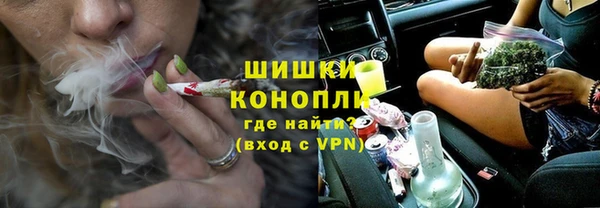 молекула духа Арсеньев
