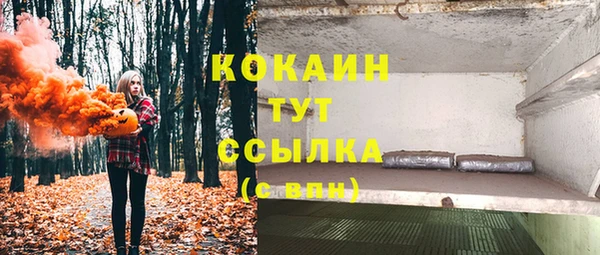 стаф Аркадак