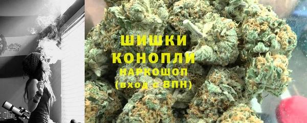 стаф Аркадак