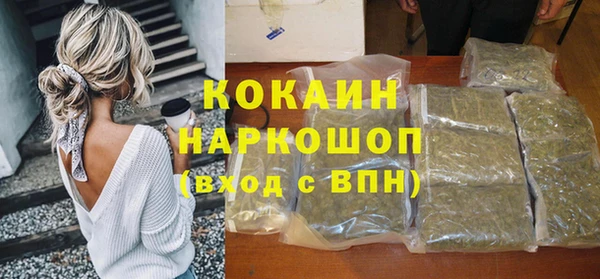 стаф Аркадак