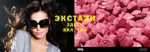 стаф Аркадак