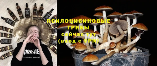 молекула духа Арсеньев