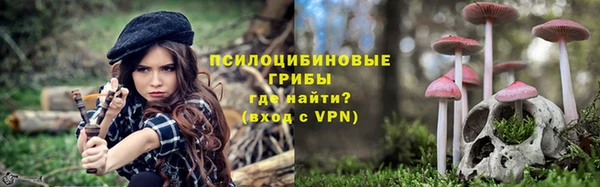 стаф Аркадак