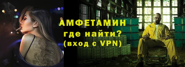 стаф Аркадак