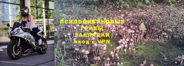 стаф Армянск