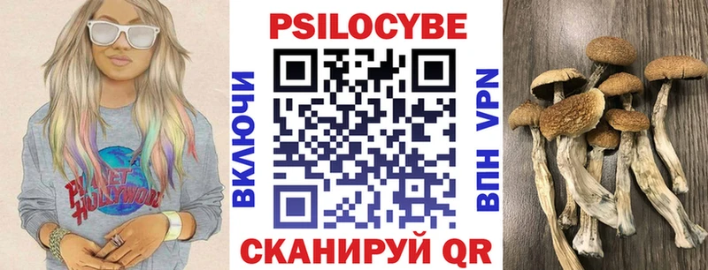 гидра   Курган  Галлюциногенные грибы GOLDEN TEACHER 