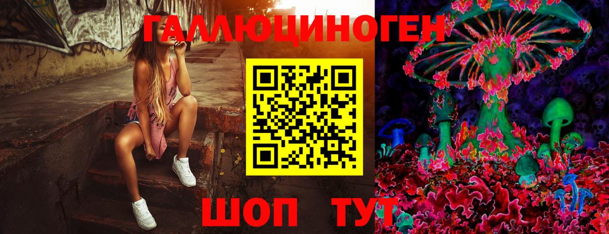 Курган  Псилоцибиновые грибы GOLDEN TEACHER  Псилоцибиновые грибы прущие грибы  Вход с VPN 