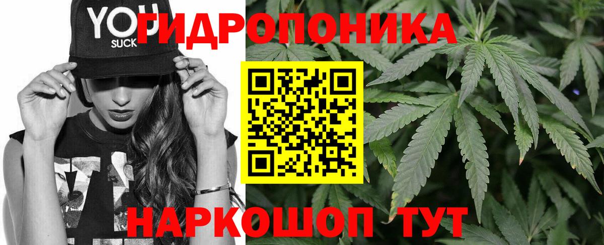 Бошки Шишки VHQ  Канабис Amnesia  Вход с VPN  Курган  Бошки марихуана сатива 